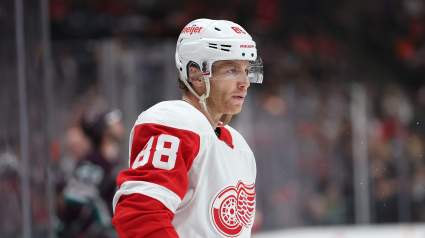 Red Wings’ 3-Time Champion Linked With Rangers in Reunion