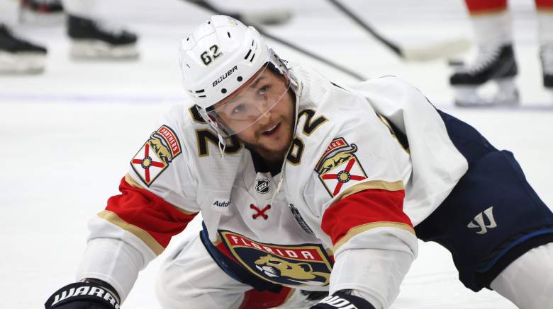 Brandon Montour of the Florida Panthers might be a Maple Leafs target.