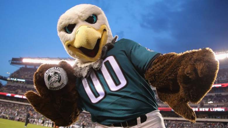 Mascot for. the Philadelphia Eagles