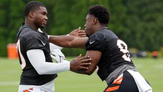Chiefs Cut Undrafted Rookie to Make Room for Former Bengals LB: Report
