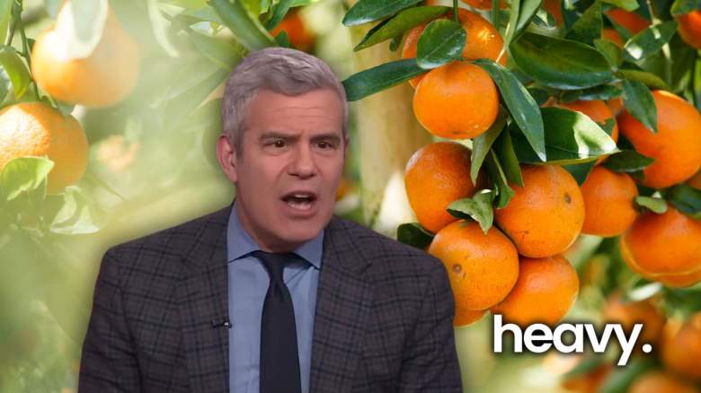 Andy Cohen