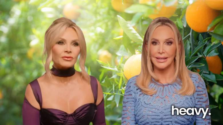 Tamra Judge and Shannon Beador