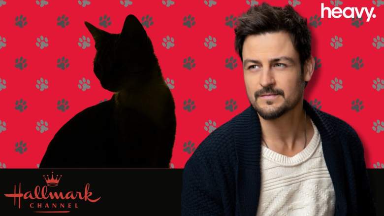 A cat will be joining Tyler Hynes in a new Christmas movie.