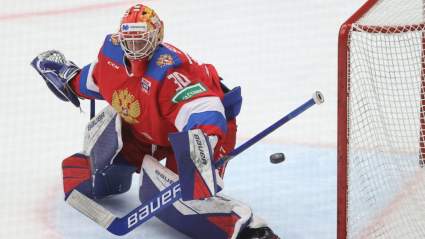 Trade Pitch Sees Red Wings Acquire Top Goalie Prospect in Intriguing Move