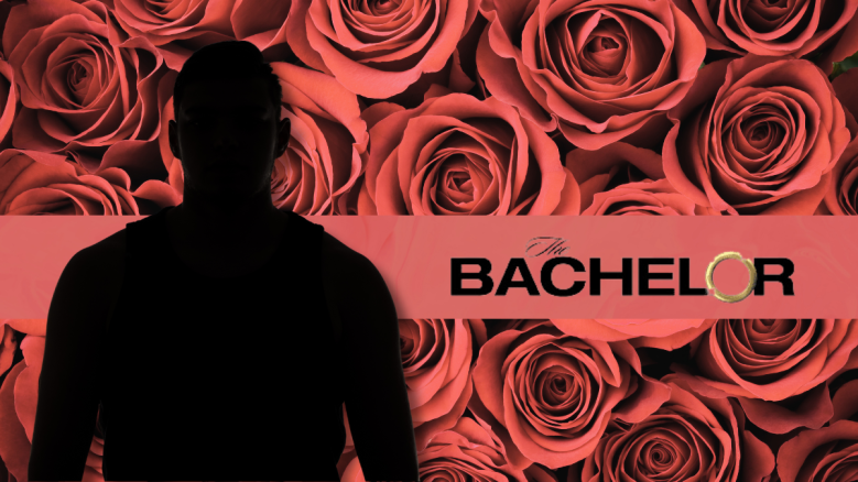 The Bachelor 2025