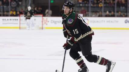 Trade Pitch Sees Red Wings Add $7 Million Forward in Cap Dump For Defenseman