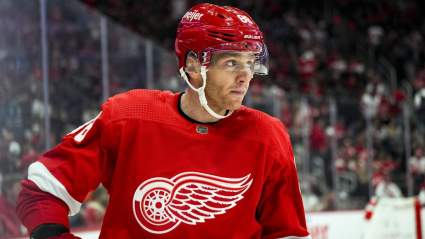 Insider Names Red Wings Star Forward As Trade Candidate