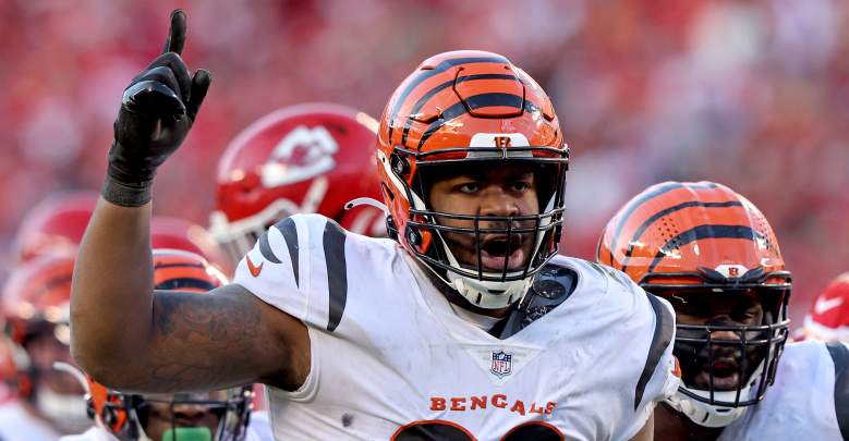 The San Francisco 49ers are being urged to sign Bengals DT B.J. Hill