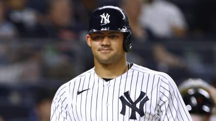 Yankees Trade Pitch Moves Dominguez for Non-Crochet White Sox Star