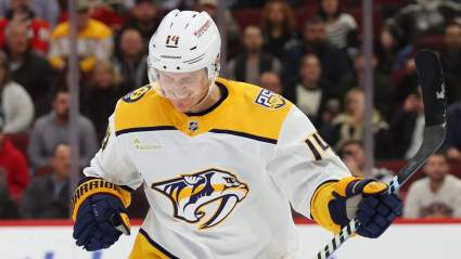 Trade Proposal Has Red Wings Re-Acquiring Veteran Forward in Intriguing Deal