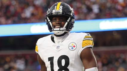 New Steelers WR Mike Williams Spills Truth on Game-Winning TD vs. Commanders