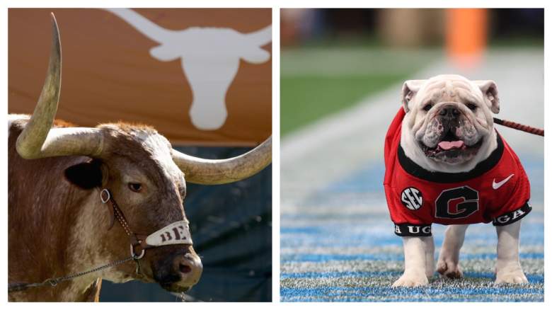 Bevo is banned from the SEC Championship game, but Uga XI will still be there.