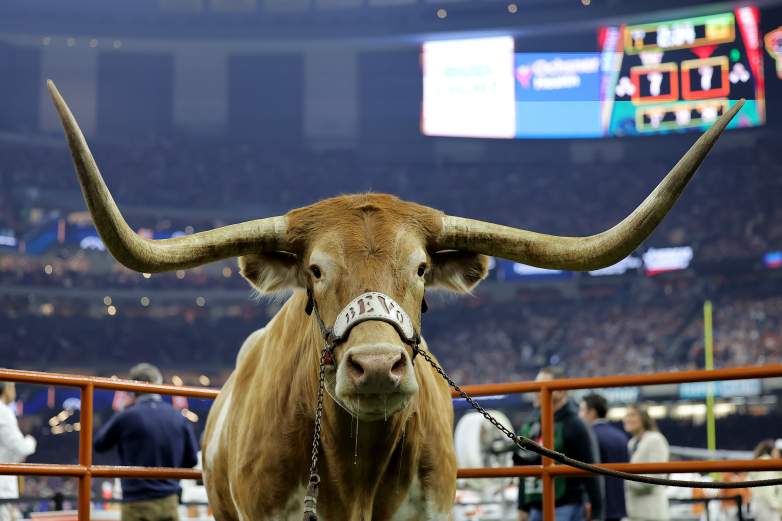 Texas Longhorns mascot Bevo is seen during the CFP Semifinal Allstate Sugar Bowl against the Washington Huskies at Caesars Superdome on January 01, 2024.