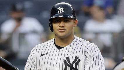 Yankees Move Jasson Dominguez for Gold Glover in Trade Pitch