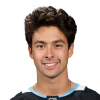 Dylan Guenther