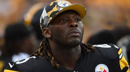 Steelers Cut Immediately Gets Suspended After Joining New Team