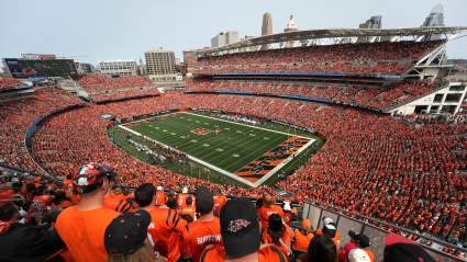 Bengals and Bears Share A Stadium In Florio’s ‘Chicagoland’ Proposal