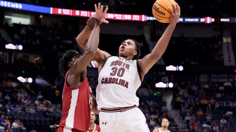 Collin Murray-Boyles, Chicago Bulls