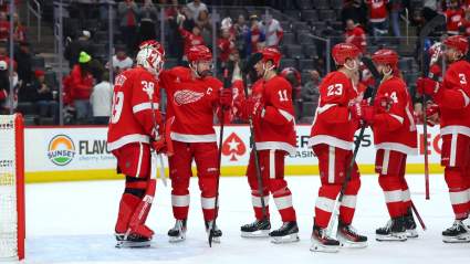 Insider Links Red Wings to Former 28-Goalscorer in Free Agency to Bolster Offense