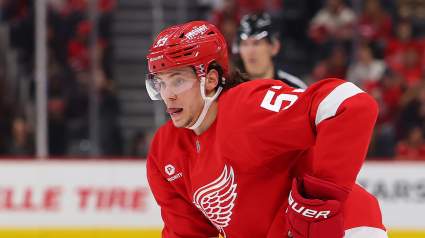 1 Free Agent Target for Red Wings at Every Position