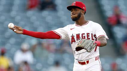 Former Batting Champ Let Go as Angels Restructure Lineup
