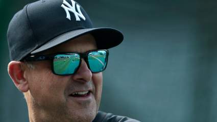 Stunning Yankees Trade Pitch Grabs Polarizing $313.5 Million DH From Hated Rival