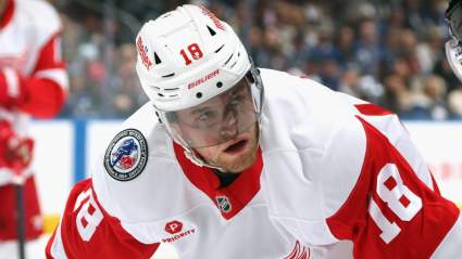 Insider Names Red Wings’ $28 Million Gritty Forward a Trade Candidate