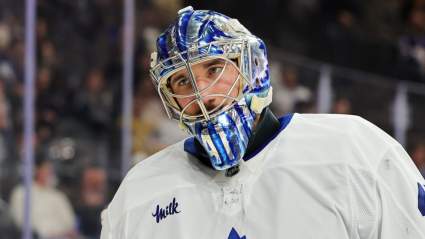 Analyst Urges Maple Leafs to Trade Stolarz to Western Conference Team