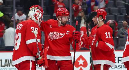 Trade Pitch Sees Red Wings Swap Young Winger For Needed Grit