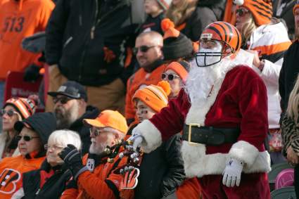 Cincinnati Bengals Fans Unload on Ownership in New Poll