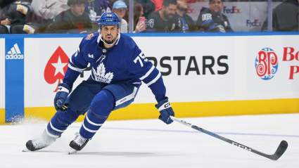 Trade Pitch Has Maple Leafs Acquiring Enforcer to Replace Reaves