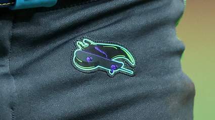 Tampa Bay Bets on Long-Term Value in Deal with Marlins