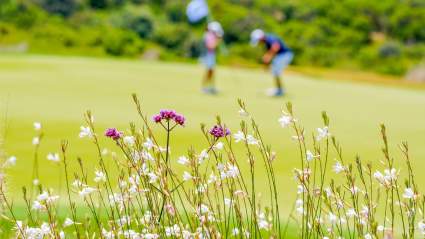 Turnberry Isle’s 18th Hole Becomes a Burial Site