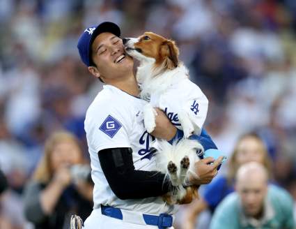 Dodgers Star Shohei Ohtani, His Dog Make Heartwearming Announcement