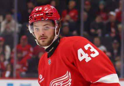 Promising Red Wings Winger Motivated After Injury Shortened Debut