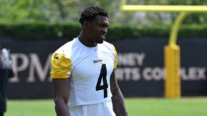 NFL’s Opinion on DK Metcalf May Spell Trouble for Steelers’ Offense