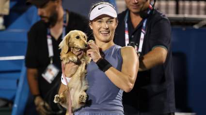Anna Kalinskaya’s Dog Bella Steals the Show as Mubadala Citi Open Run Continues