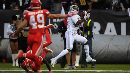 Raiders Pushed to Reunite With Veteran Free Agent WR