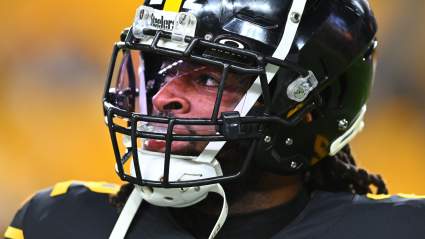 Steelers Departure Catches Major Stray During Offseason Breakdown
