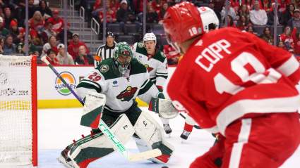 Red Wings Bounce Back Candidates