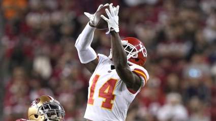 Texans Announce Several Roster Moves: Another WR Signed; Veteran RB, Injured WR Cut