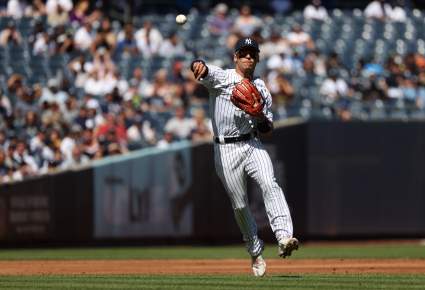 Yankees Sign Familiar Face to Add Depth to Infield