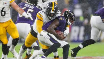 Surprising Steelers Cut Finds New Home With Patriots