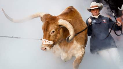 Where Is Bevo Today? Was He Banned from the Ohio State Game?