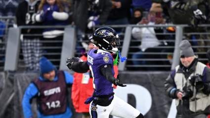 DeAndre Hopkins Gives Ravens Breakout Star Stamp of Approval
