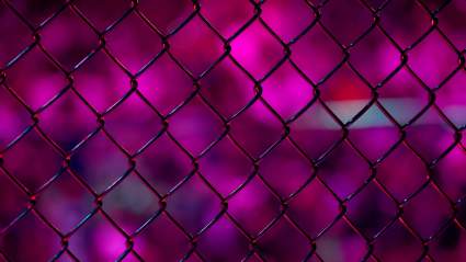 Raja Jackson Left Fuming After Controversial Incident at Wrestling Event
