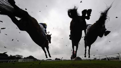 End of an Era: Secretariat’s Last Son Passes at 35