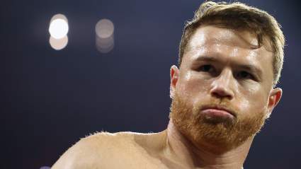 Canelo Alvarez Net Worth: 5 Fast Facts You Need to Know