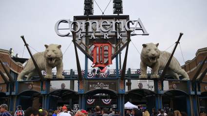 Detroit Lowers Tiger Club Costs, Bringing Premium Comfort to a Wider Fan Base