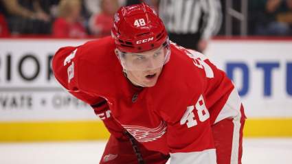 Red Wings Predicted to Part Ways With Young Forward After Season